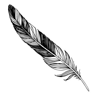 Kanattan izole edilmiş vektör kuş tüyü. Siyah beyaz işlemeli mürekkep sanatı. İzole edilmiş tüyler illüstrasyon ögesi.
