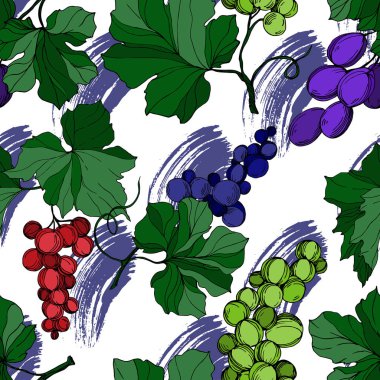 Vector Grape Berry sağlıklı yemek. Siyah beyaz işlemeli mürekkep sanatı. Kusursuz arkaplan deseni.