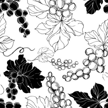 Vector Grape Berry sağlıklı yemek. Siyah beyaz işlemeli mürekkep sanatı. Kusursuz arkaplan deseni.