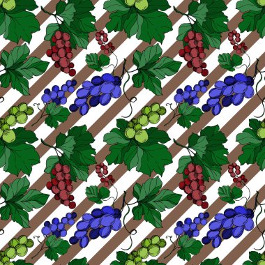 Vector Grape Berry sağlıklı yemek. Siyah beyaz işlemeli mürekkep sanatı. Kusursuz arkaplan deseni.