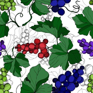 Vector Grape Berry sağlıklı yemek. Siyah beyaz işlemeli mürekkep sanatı. Kusursuz arkaplan deseni.