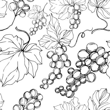 Vector Grape Berry sağlıklı yemek. Siyah beyaz işlemeli mürekkep sanatı. Kusursuz arkaplan deseni.