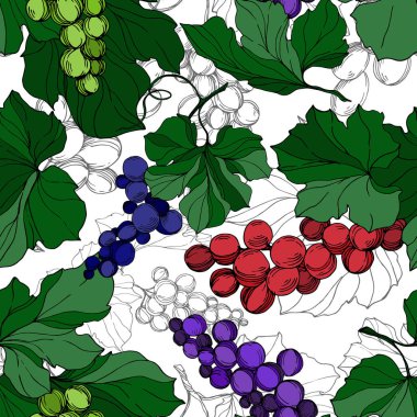 Vector Grape Berry sağlıklı yemek. Siyah beyaz işlemeli mürekkep sanatı. Kusursuz arkaplan deseni.