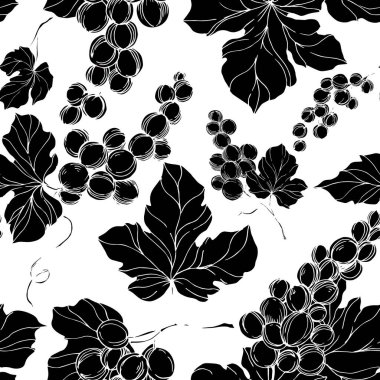 Vector Grape Berry sağlıklı yemek. Siyah beyaz işlemeli mürekkep sanatı. Kusursuz arkaplan deseni.