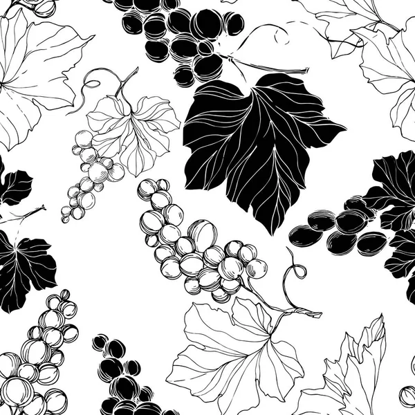 Vector Baya de uva comida saludable. Tinta grabada en blanco y negro. Patrón de fondo sin costuras . — Vector de stock