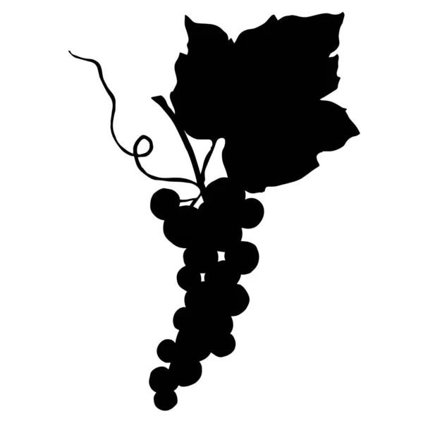 Vector Grape Berry sağlıklı yemek. Siyah beyaz işlemeli mürekkep sanatı. İzole edilmiş üzüm illüstrasyon ögesi. — Stok Vektör