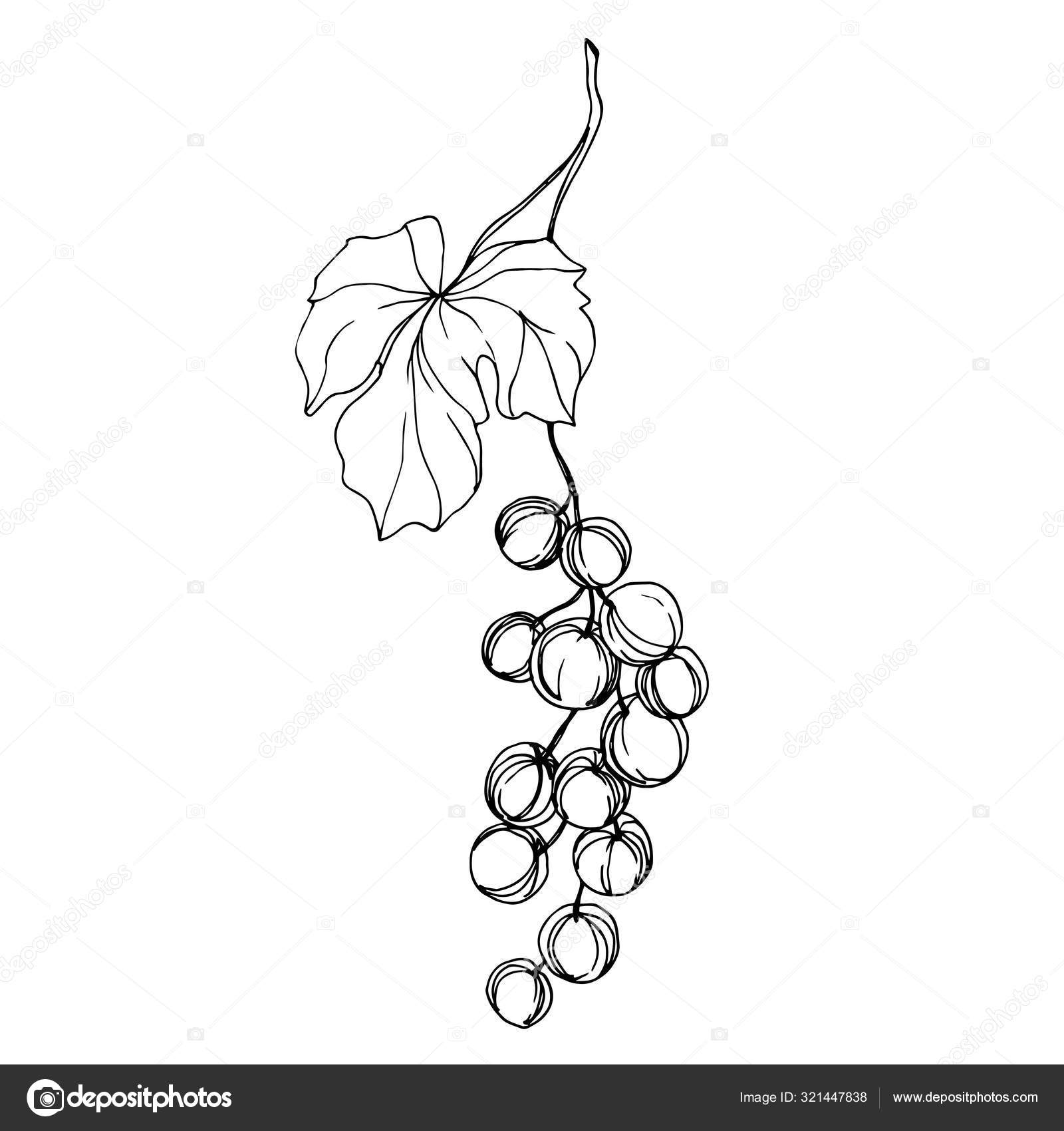 ポートフォリオ Mystocks ストック写真 イラストとベクターアート Depositphotos ポートフォリオ Mystocks ストック写真 イラストとベクターアート Depositphotos