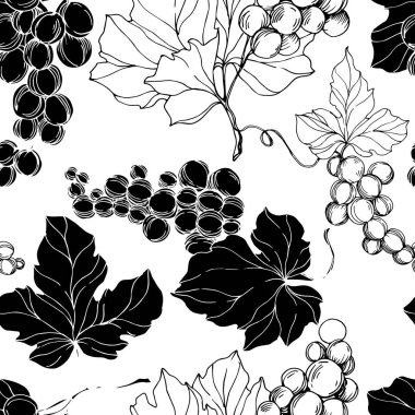 Vector Grape Berry sağlıklı yemek. Siyah beyaz işlemeli mürekkep sanatı. Kusursuz arkaplan deseni.