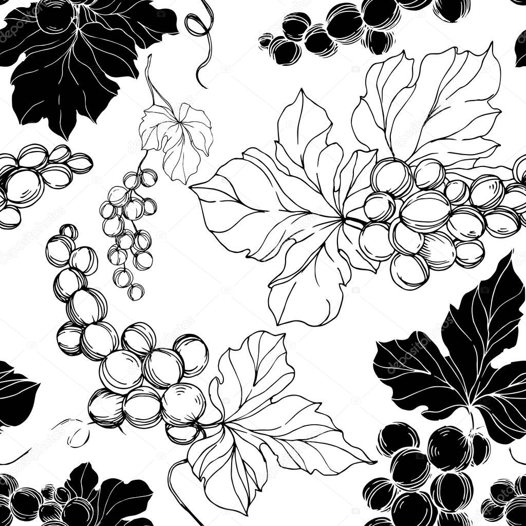 Vector Grape berry healthy food. Black and white engraved ink art. Seamless background pattern.