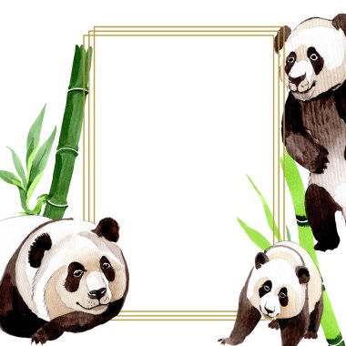 Egzotik vahşi hayvan izole edilmiş. Suluboya arkaplan çizimi. Çerçeve kenar süsü kare.