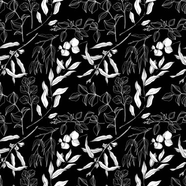 Vektör okaliptüs ağacı orman botaniğini terk eder. Siyah beyaz işlemeli mürekkep sanatı. Kusursuz arkaplan deseni.