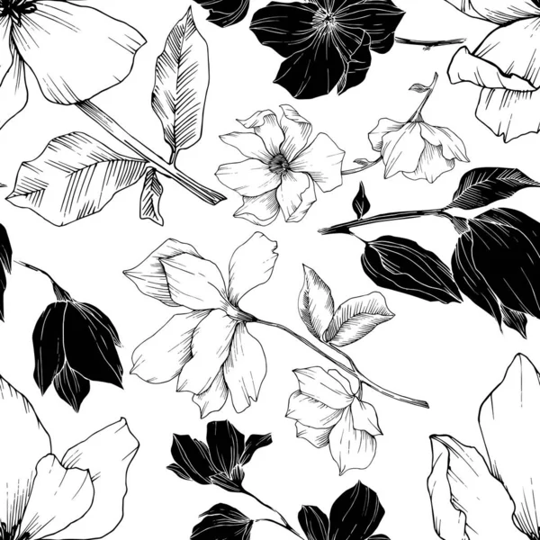 Vector Magnolia flores botânicas florais. Tinta gravada a preto e branco. Padrão de fundo sem costura . —  Vetores de Stock