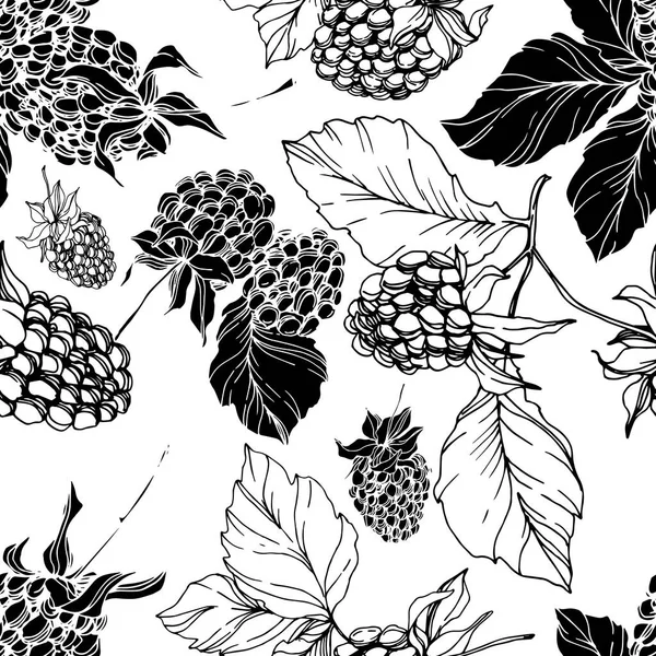 Blackberry comida saludable. Tinta grabada en blanco y negro. Patrón de fondo sin costuras. Textura de impresión de papel pintado de tela . — Vector de stock