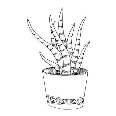 Vektör Kaktüs çiçekli botanik çiçeği. Siyah beyaz işlemeli mürekkep sanatı. İzole kaktüs çizim elementi.