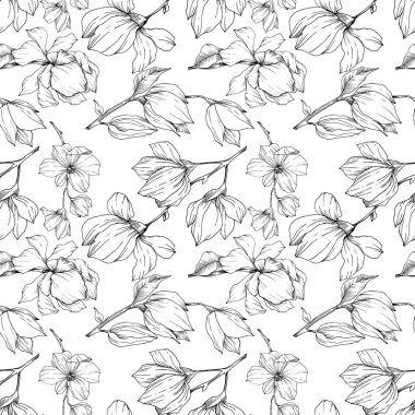 Vektör Magnolia çiçek botanik çiçekleri. Siyah beyaz işlemeli mürekkep sanatı. Kusursuz arkaplan deseni.