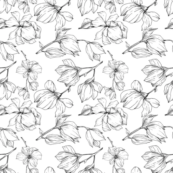 Vector Magnolia floral botanical flowers. Black and white engraved ink art. Seamless background pattern. — ストックベクタ