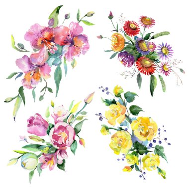 Buket çiçek botanik çiçekler. Suluboya arka plan illüstrasyon seti. İzole buketleri illüstrasyon elemanı.
