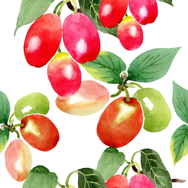 Zweig Cornus mas Beeren. Aquarell-Illustrationsset vorhanden. nahtlose Hintergrundmuster. Stoff Tapete drucken Textur. — Stockfoto