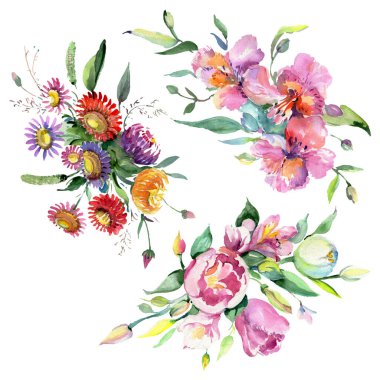 Egzotik yusufçuk vahşi böcek. Suluboya arka plan illüstrasyon seti. İzole yusufçuk illüstrasyon elemanı.