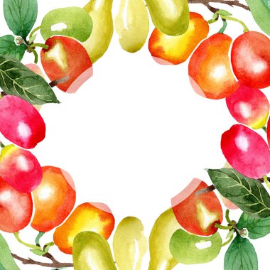 Egzotik yusufçuk vahşi böcek. Suluboya arka plan illüstrasyon seti. İzole yusufçuk illüstrasyon elemanı.