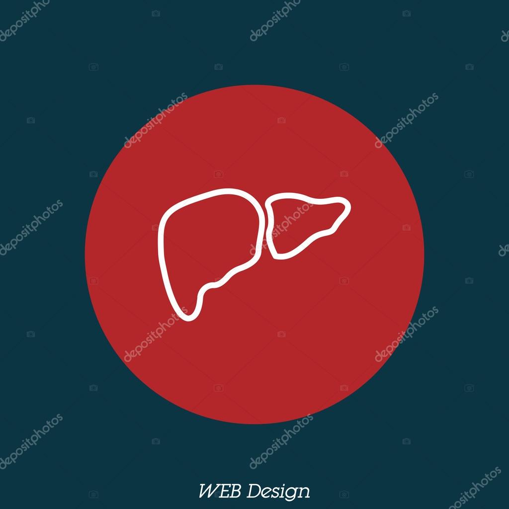 Web line icon. Liver anatomical symbol