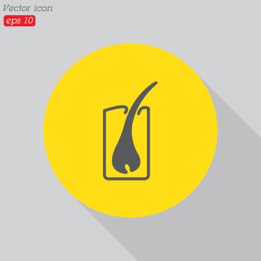 saç düzeni tasarımı