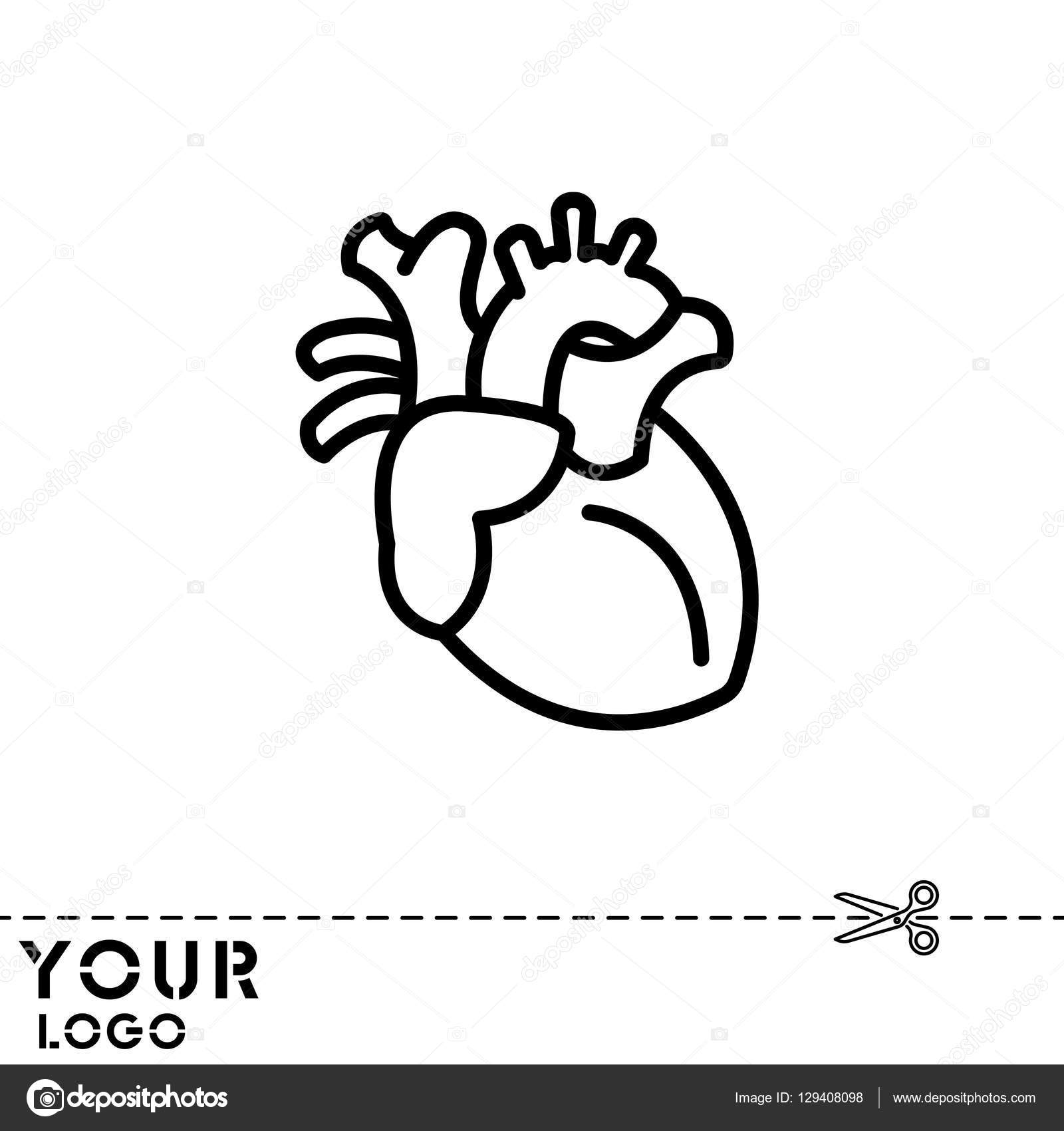 human heart drawing simple