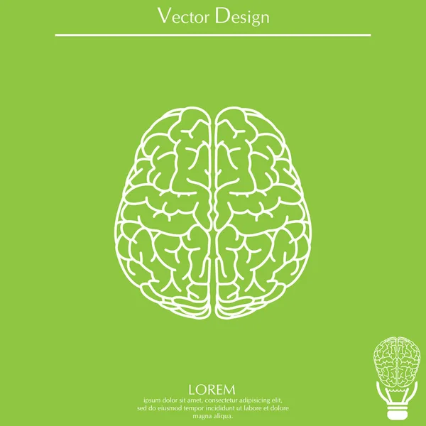 Icône de ligne cérébrale — Image vectorielle