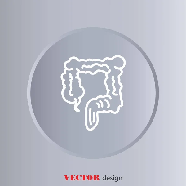 Colon, gros intestin — Image vectorielle