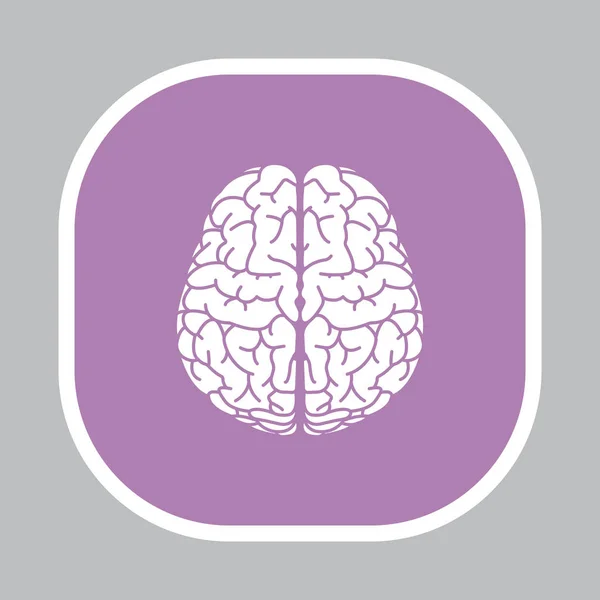 뇌 플랫 아이콘 — 스톡 벡터