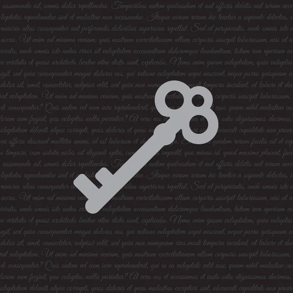 Schlüssel zum Web-Symbol — Stockvektor