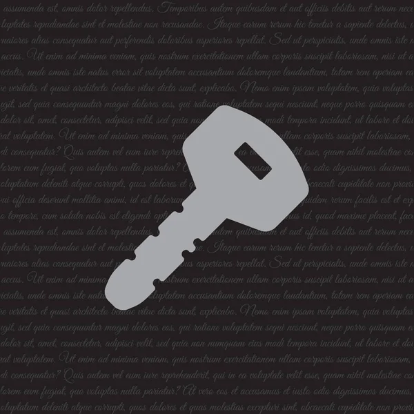 Icône Web Key — Image vectorielle