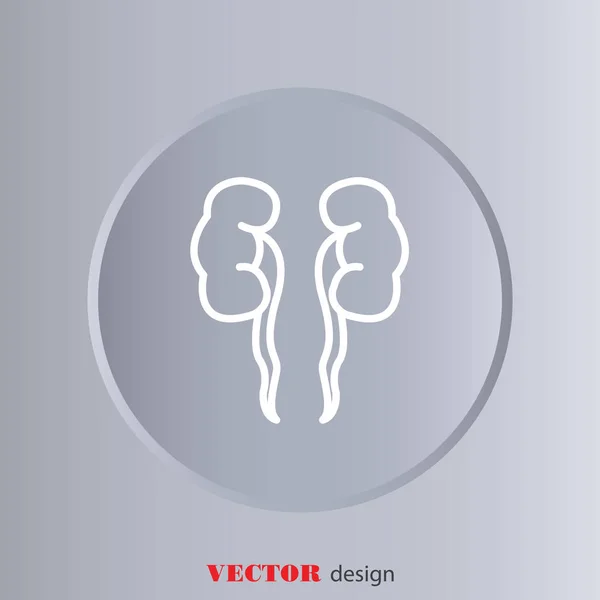 Icône plate de reins — Image vectorielle
