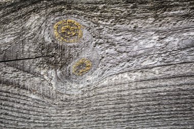 Ahşap doku arkaplanı