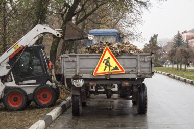  Sonbahar yaprakları koleksiyonu üzerinde çalışma