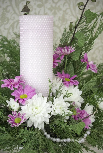 Różowo -białe chryzantemy — Zdjęcie stockowe