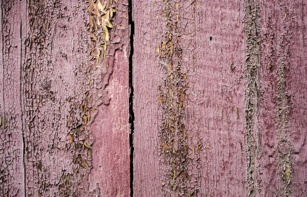 Sfondo texture in legno — Foto Stock