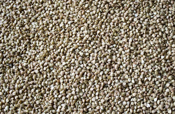 Buckwheat grains background