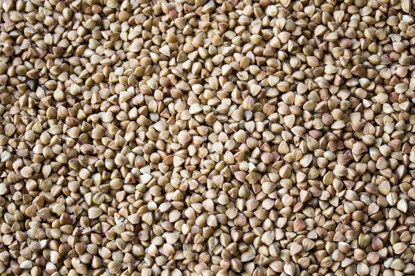 Sfondo chicchi di grano saraceno — Foto Stock