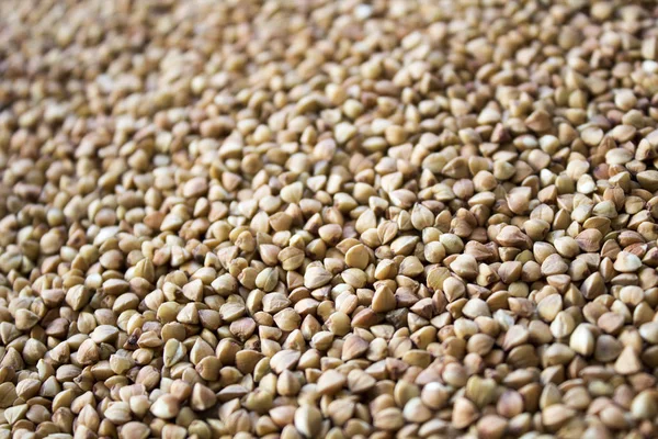 Sfondo chicchi di grano saraceno — Foto Stock