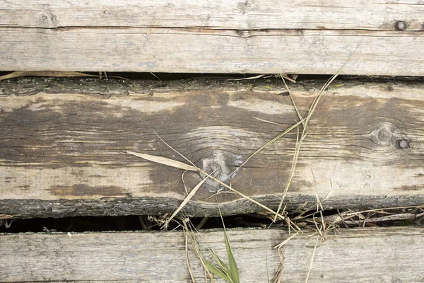 Sfondo in legno di vecchie tavole . — Foto Stock