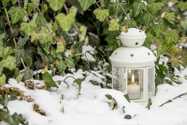 stock image Beautiful white lantern in the snow