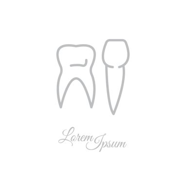 insan dişleri farklı türleri 