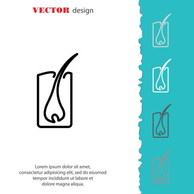 saç kök basit simgesi