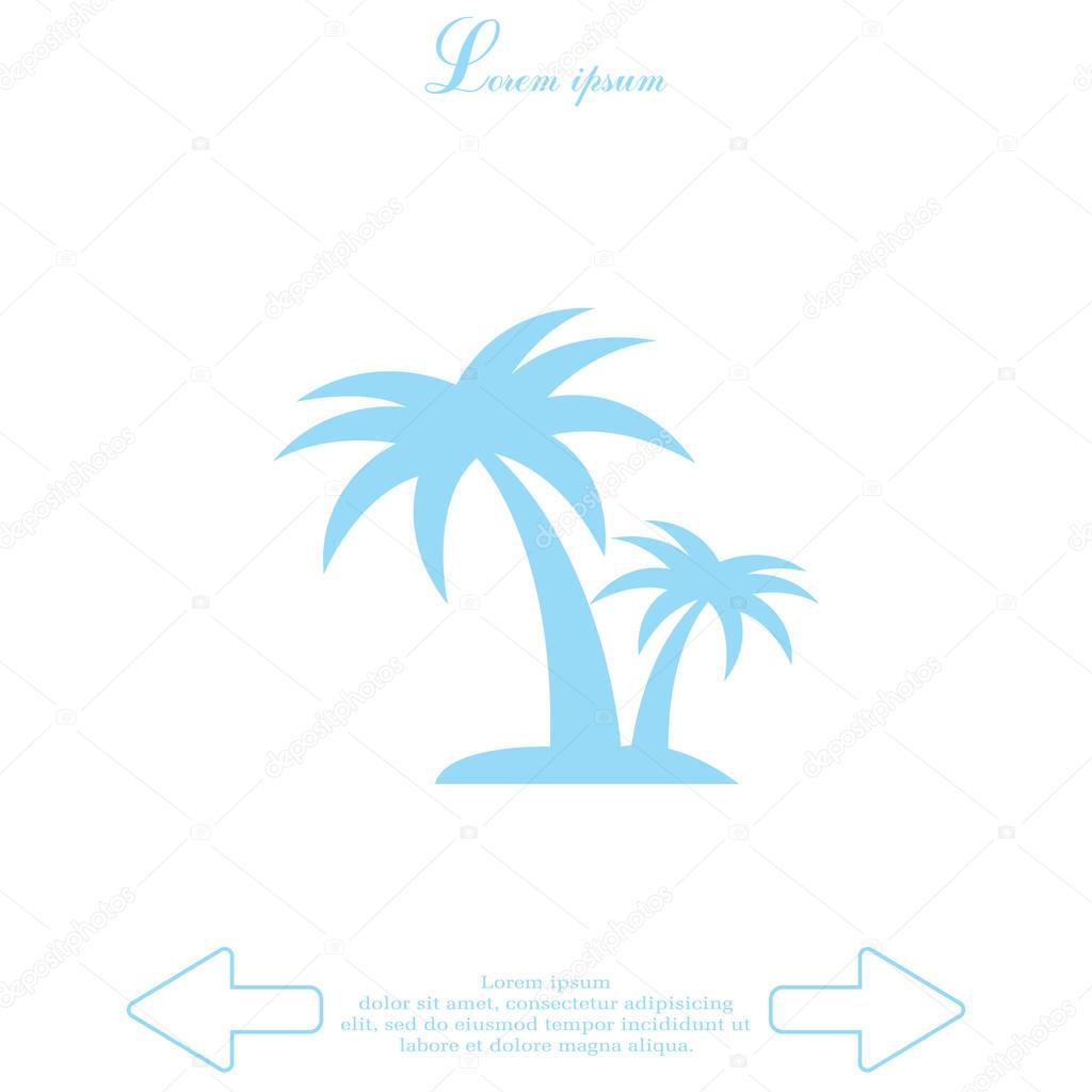palm tropical tree icon