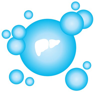 karaciğer düz simgesi