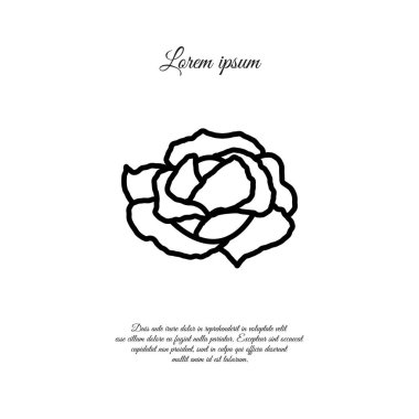 Lahana web satırı simgesi