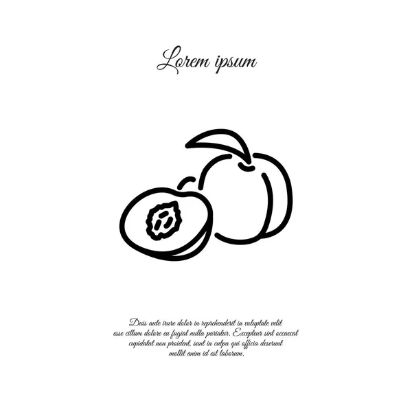 Apricot web line icon — Stock Vector