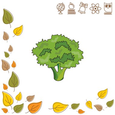 Brokoli renk illüstrasyon