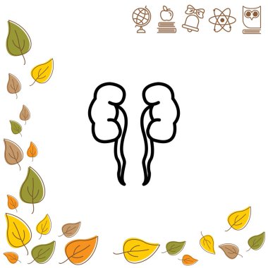 Böbrekler web satırı simgesi